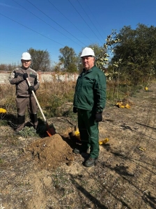 Посади дерево — спаси природу!