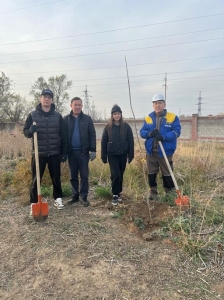 A Deep-Rooted Good Deed